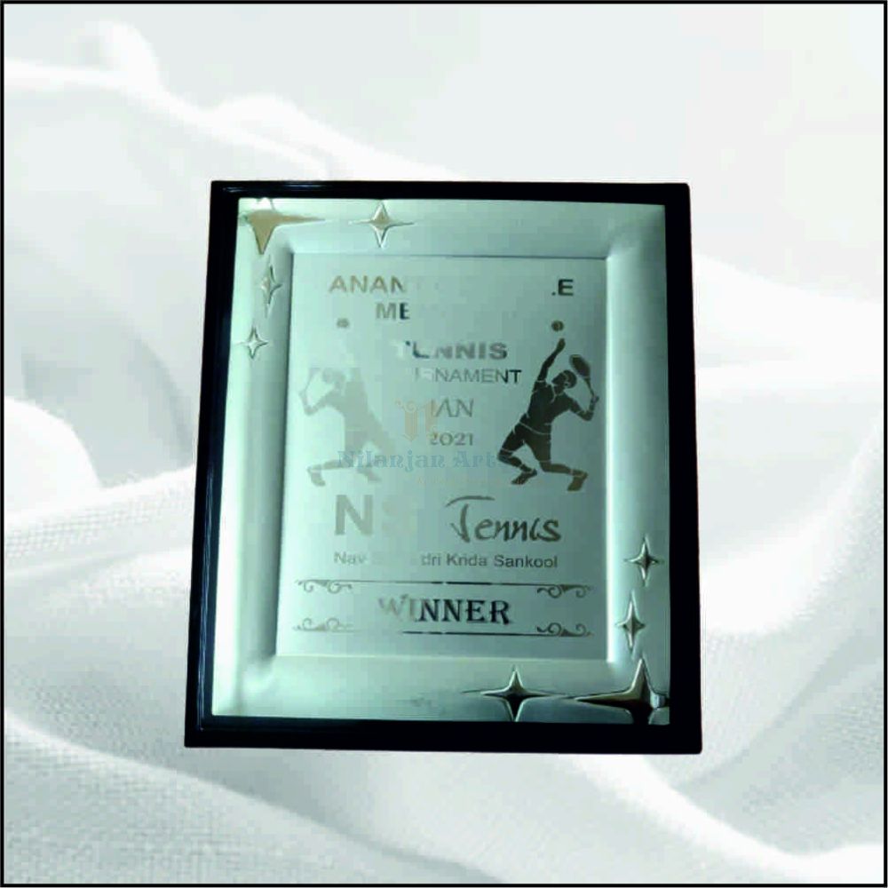 GC DW 80 DISH FRAME SILVER