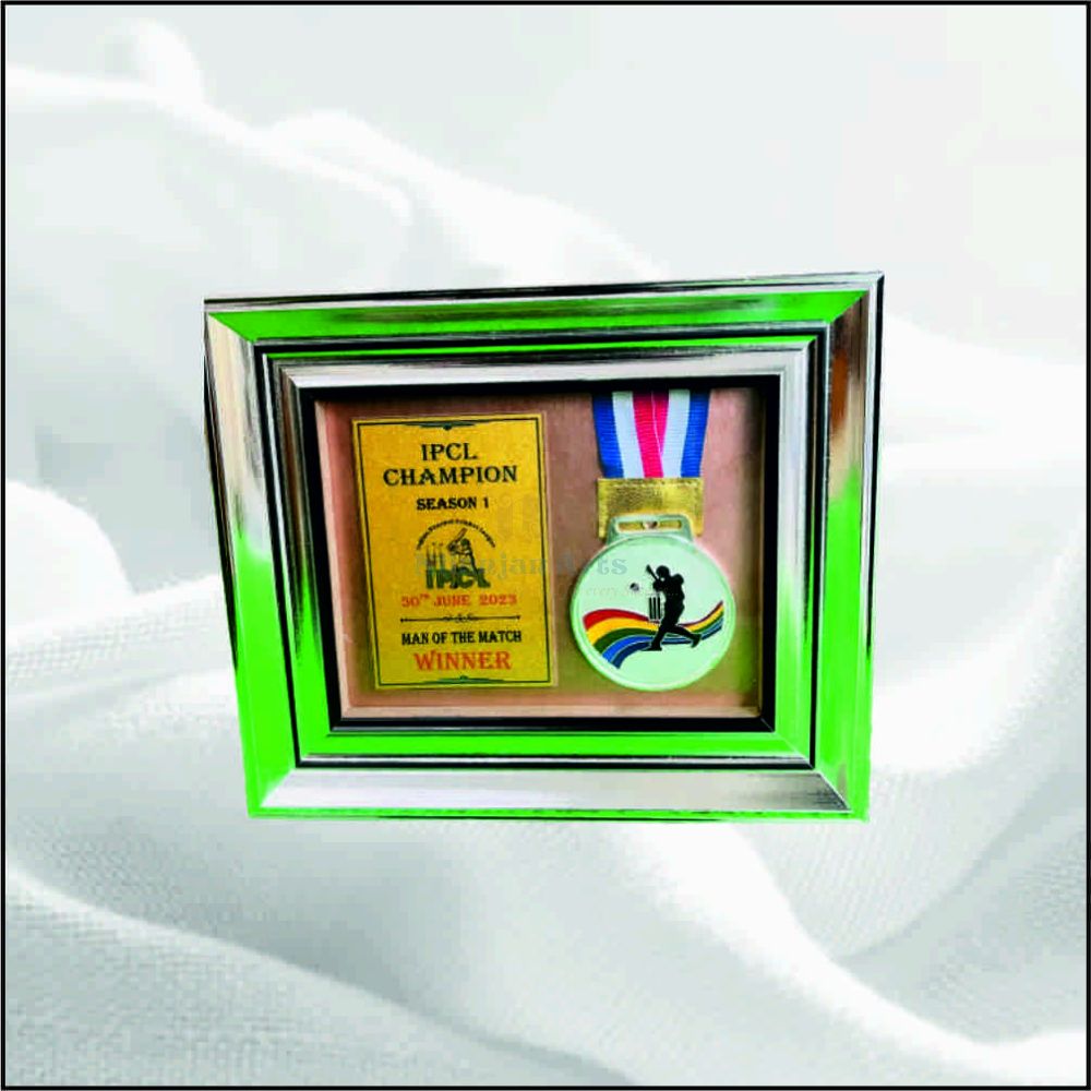 NA 91564 NEW CRICKET SILVER