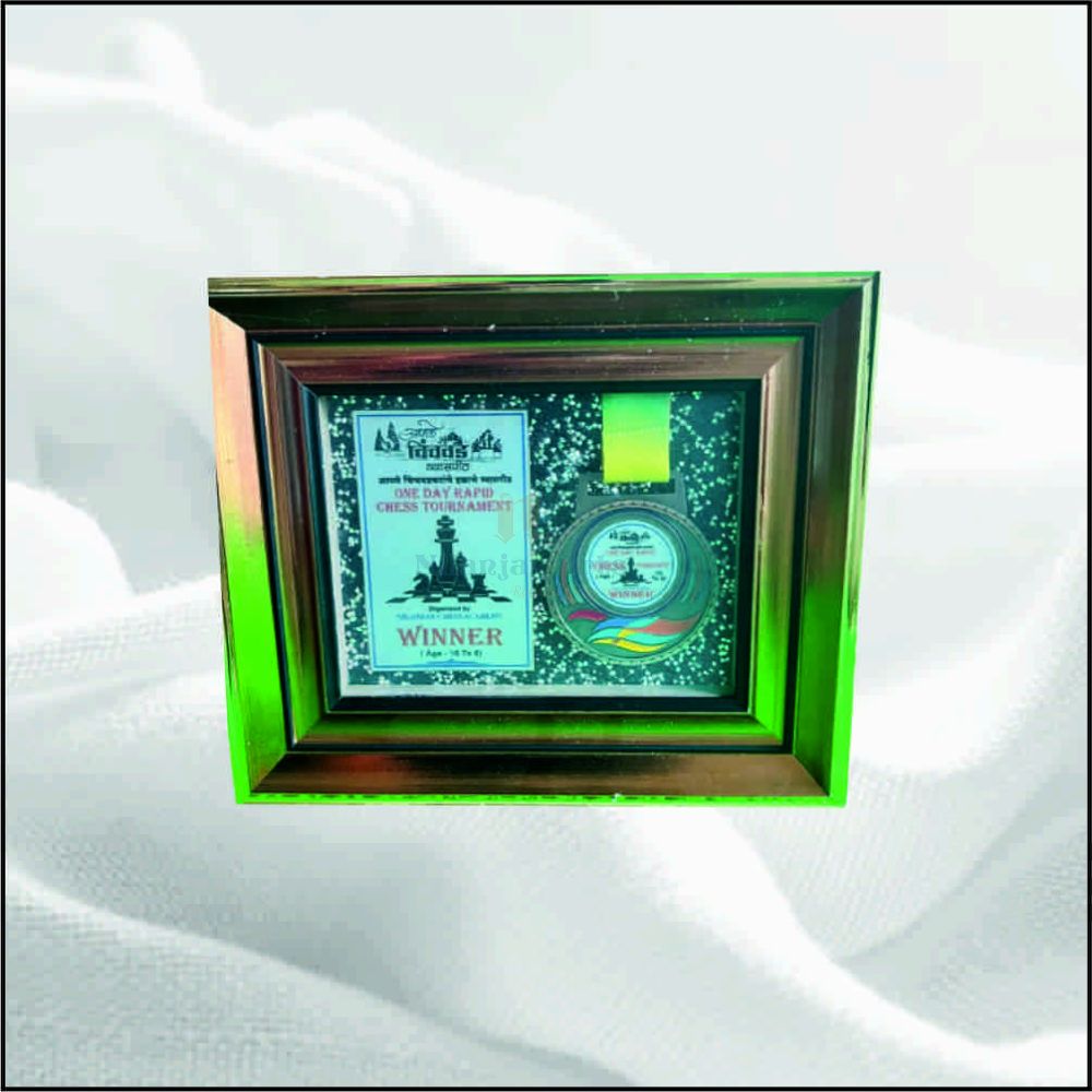 NA 91561 JP025 MEDAL BRONZE